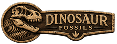Buy Dinosaur Fossils | Bones, Teeth & Rare Specimens